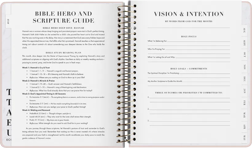 Bible Hero Scripture Guide and Vision & Intention spread